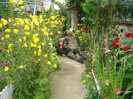 DSC00266