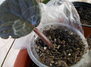 DSCN0044