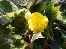 DSCN0054
