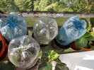 DSCN0057
