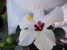 DSCN0083