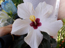 DSCN0084