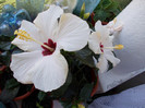 DSCN0098
