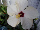 DSCN0105