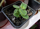 DSCN0107