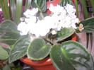 DSCN0768
