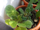 DSCN0769