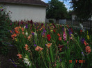 Picture 2329