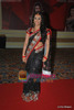 normal_Ashita Dhawan at Star Pariwar Awards red carpet and post party on 5th April 2011 (2)