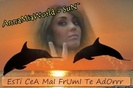 captionit1133159935D32