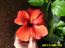 Picture 006