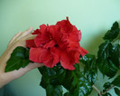 P1350033