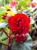 DSC02918