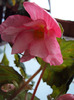 DSC02919