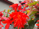DSC02942