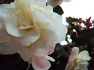 DSC02948