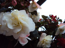 DSC02949