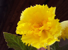 DSC02951