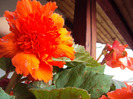 DSC02957