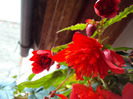 DSC02967
