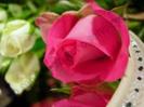 images (13)