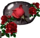 images (5)