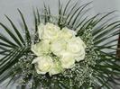 images (18)