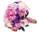 images (13)