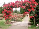 images (20)