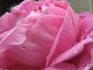 images (21)