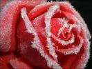 images (26)