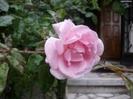 images (32)