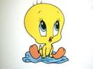 tweety