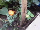 P040811_09.37_[01]