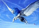 imgg216[1]
