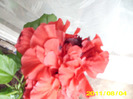 Picture 030