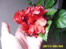 Picture 038