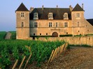 Clos de Vougeot Vineyard, Vougeot, France