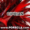 132-CIPRIAN avatare colorate