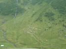 P1000353