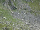 P1000395
