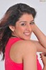 sameeksha-pink-ragalahari-ps14