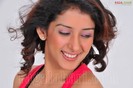 sameeksha-pink-ragalahari-ps144
