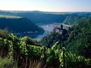 Burg Katz Above the Rhine, Germany