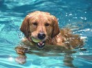 Staying Cool