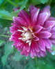 Fotogr.0269