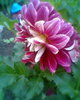 Fotogr.0270
