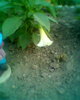 Fotogr.0313