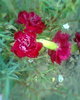 Fotogr.0314