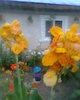 Fotogr.0331